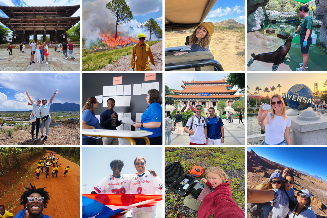 Image of image-c67107c9ec5b1a350e5f2a42ab57684e6720fd4e-2000x1333-png