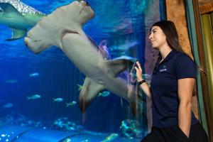 Celena Diaz pictured next to a hammerhead shark at SeaWorld