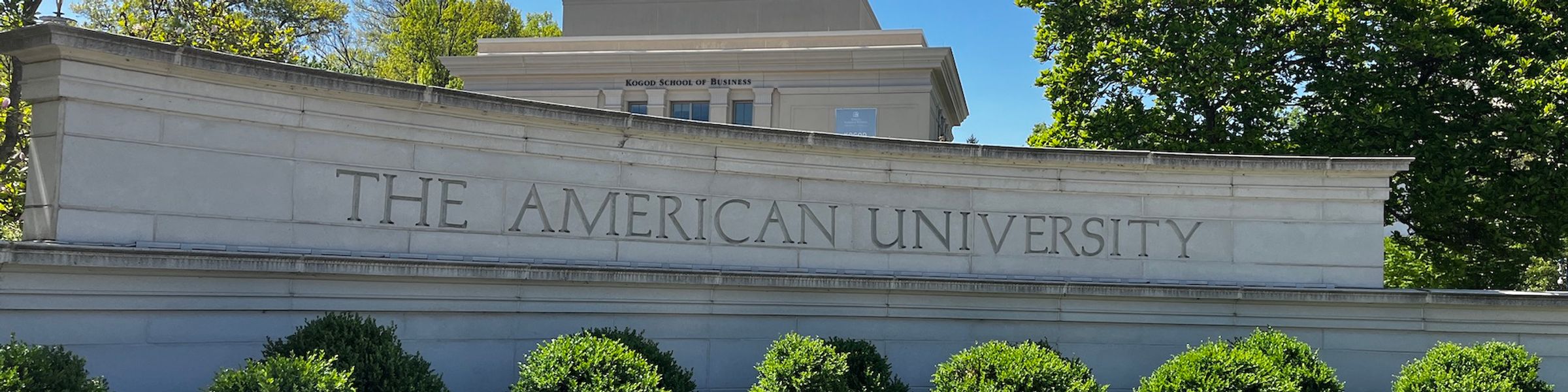 The American University