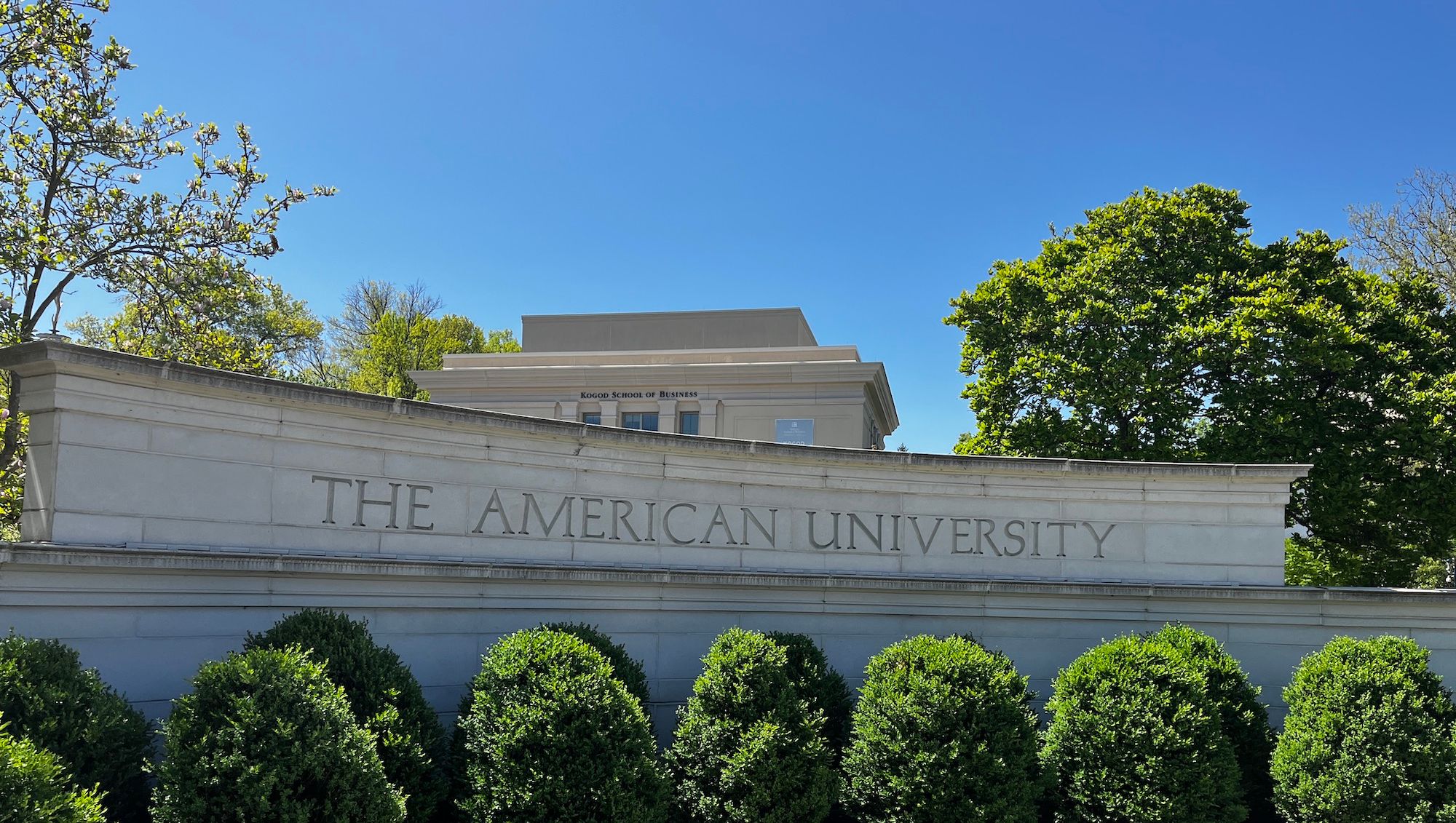 The American University