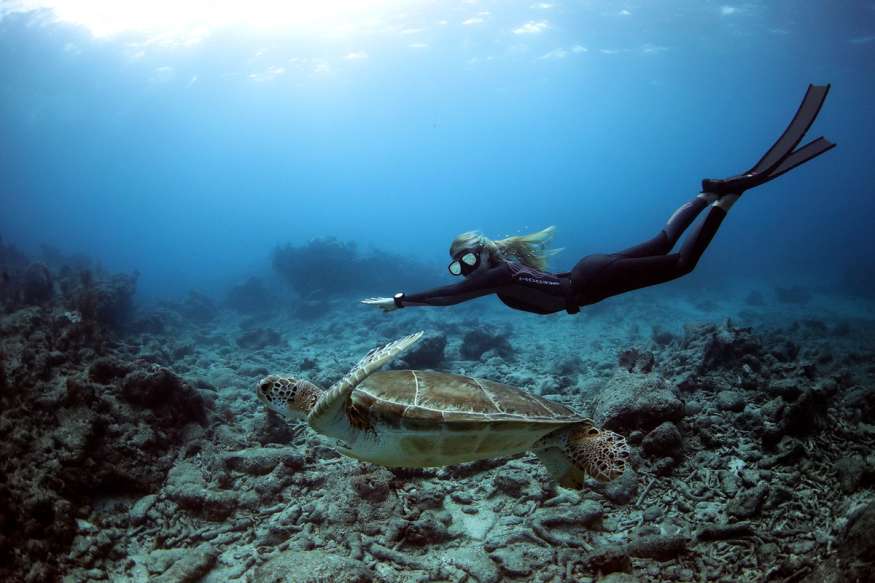 Maddie Cholnoky on a scientific dive for NOAA