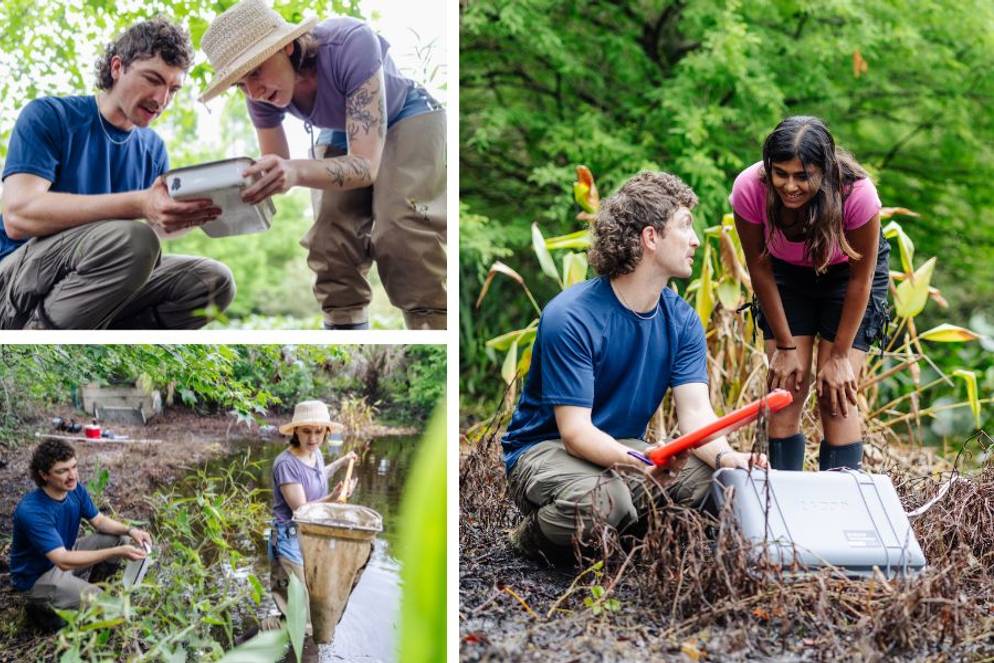 Mihika Srikrishna ’28, Sarah Winslett ’28, and biology professor Phoenix Rogers collect and examine water samples beside a lush pond.