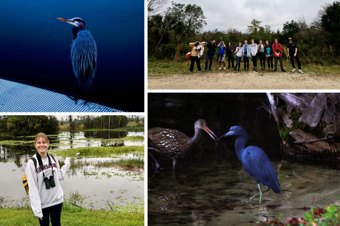 Field Ornithology intersession class out in the field