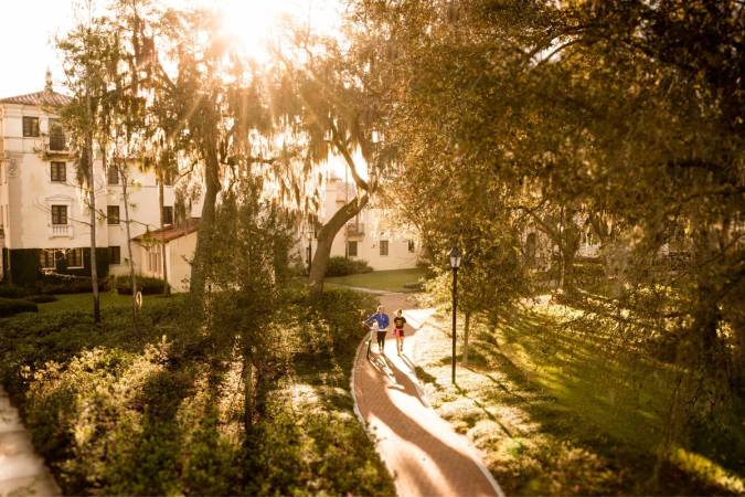 Students walking across campus beneath the live oaks dappled with sunlight.