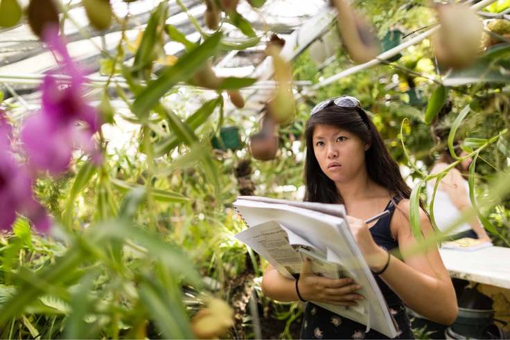 A student taking notes in a greenhouse.