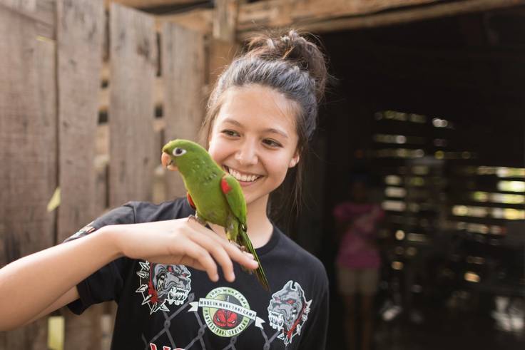 A Rollins College student holds and studies a parrot while on a study abroad trip in the Dominican Republic.
