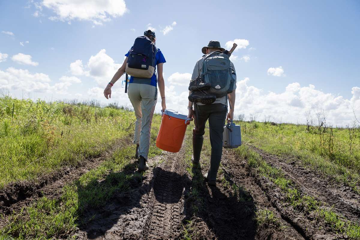 Professor Zack Gilmore and student carrying a cooler and other supplies to the dig site.