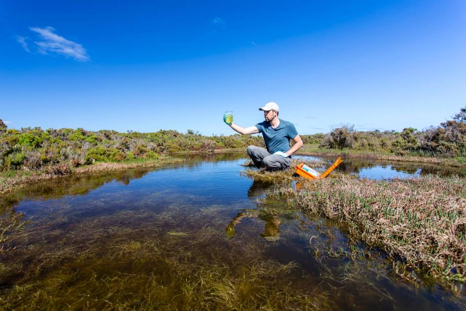 Rollins environmental studies alum tests water quality