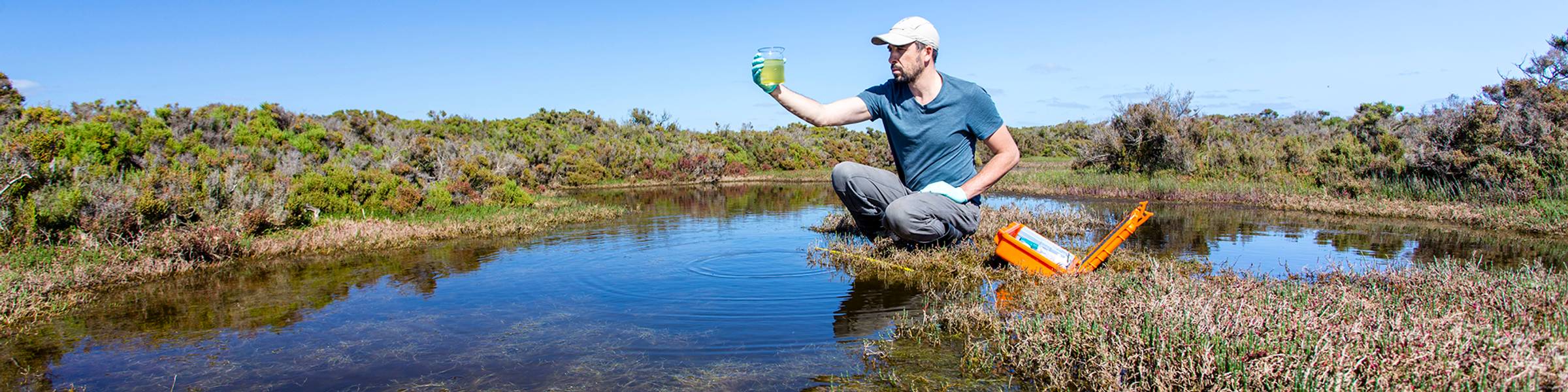 A water resource specialist tests water from a swamp.