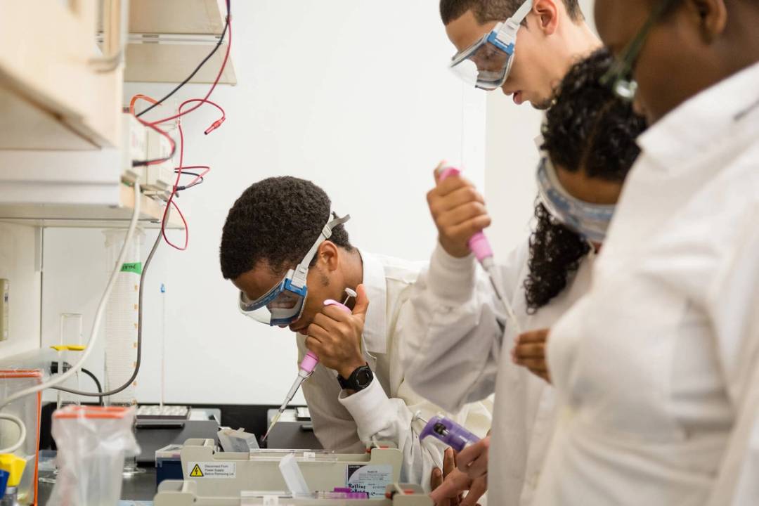 Four students work on a project in a chemistry lab.