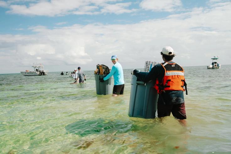 Rollins students on Immersion wade through shallow ocean water carrying bins of collected debris.