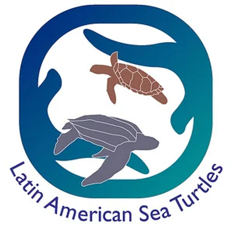 Latin American Sea Turtles logo