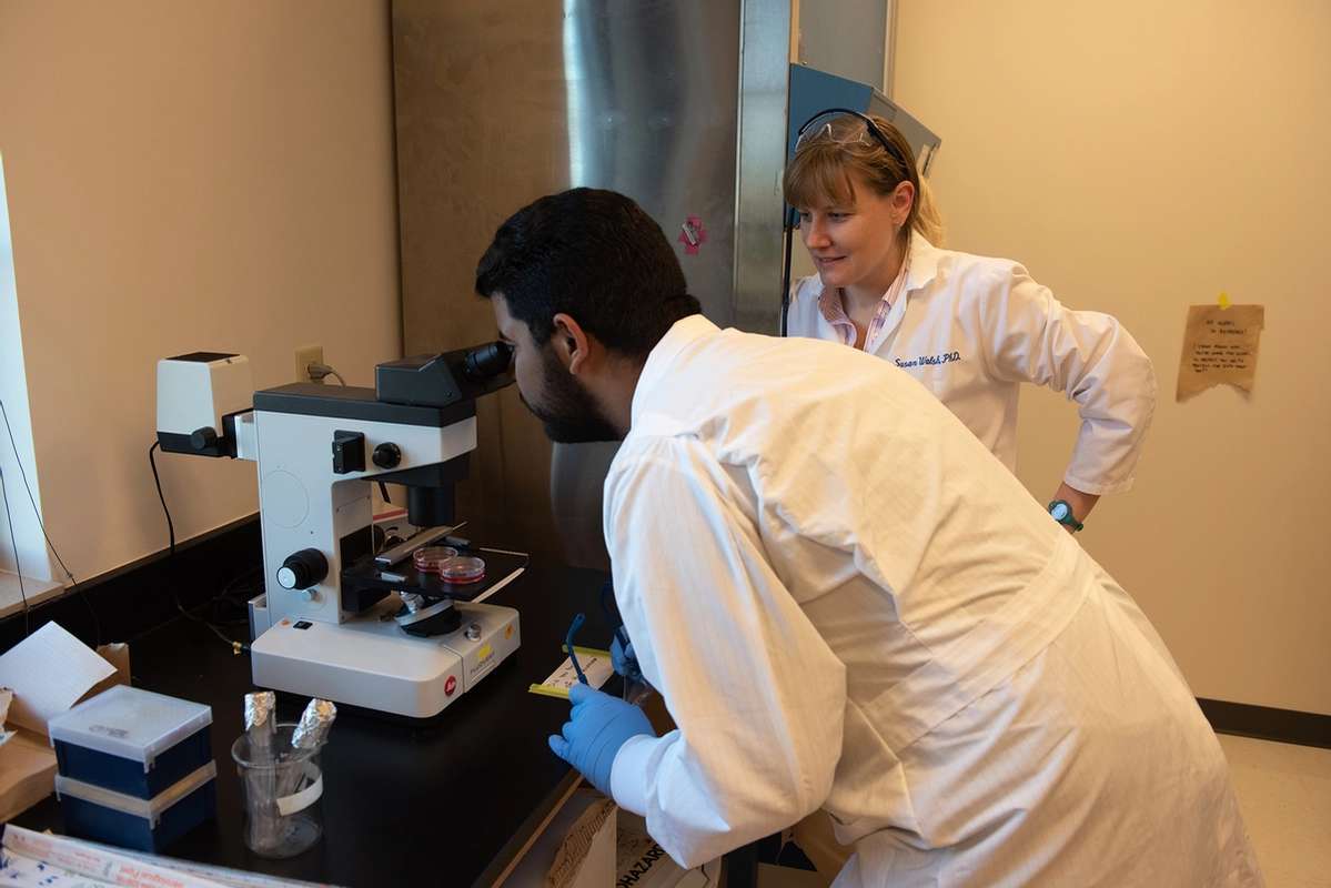 A student in a lab coat looking at samples through a microscope while Susan Walsh looks on.