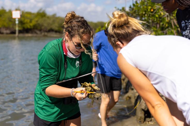 Community engagement course at Rollins