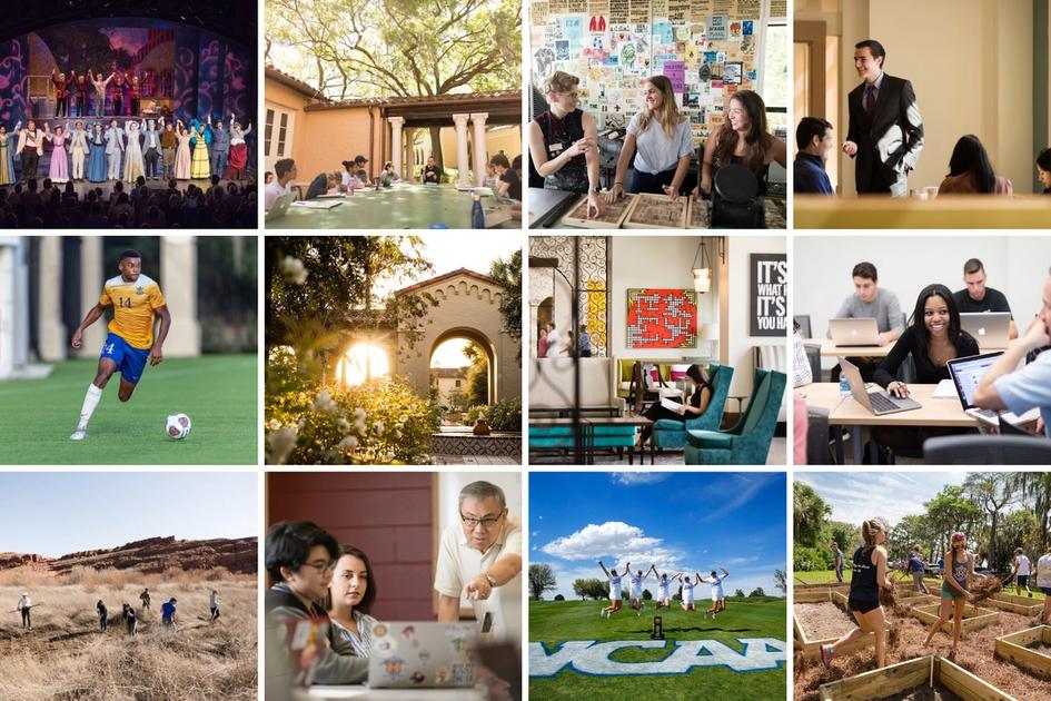 Learn Why Rollins Ranks Among the Nation’s Best Colleges