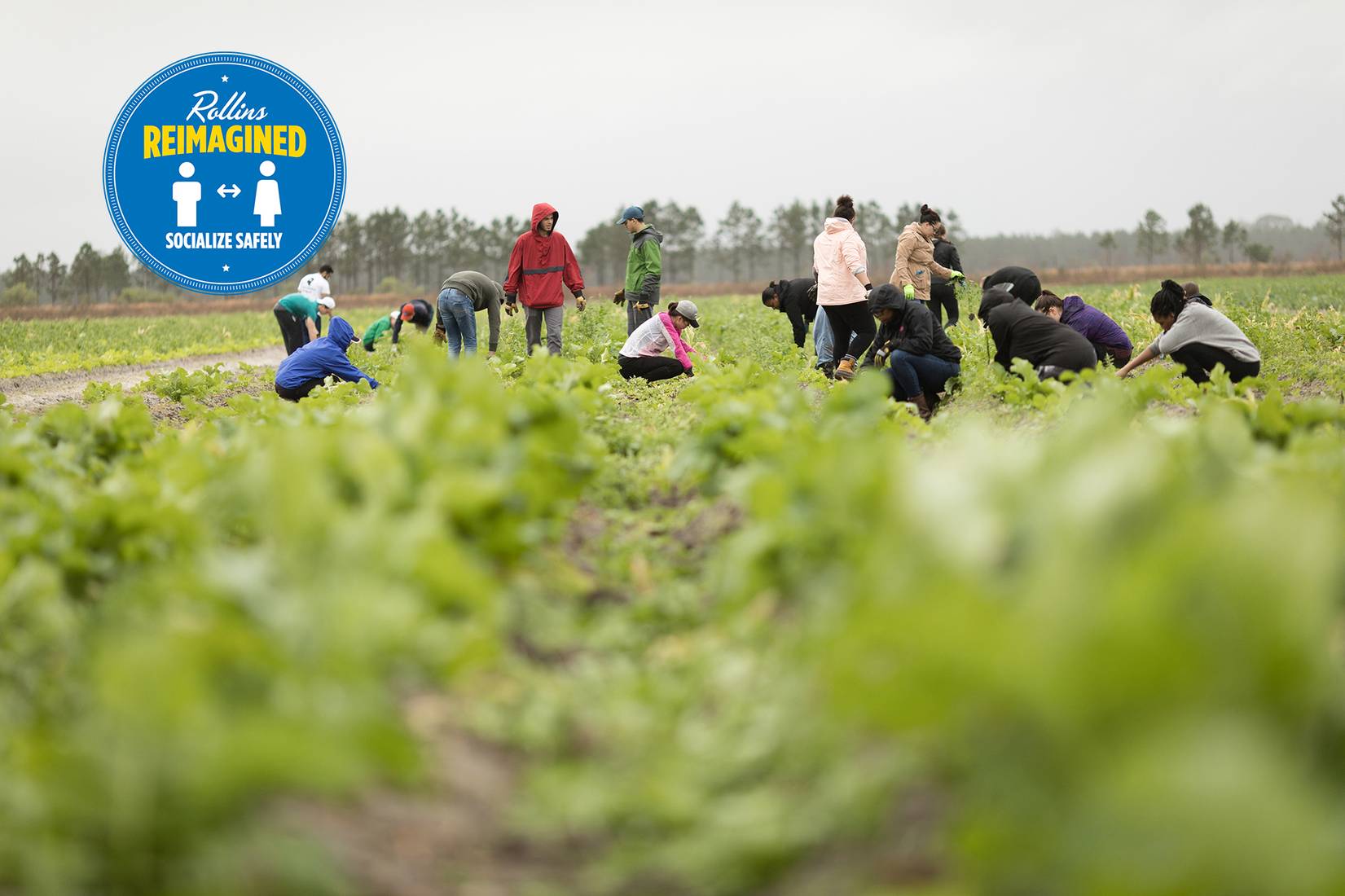 Students participate in service work at a farm only 40 minutes from campus.