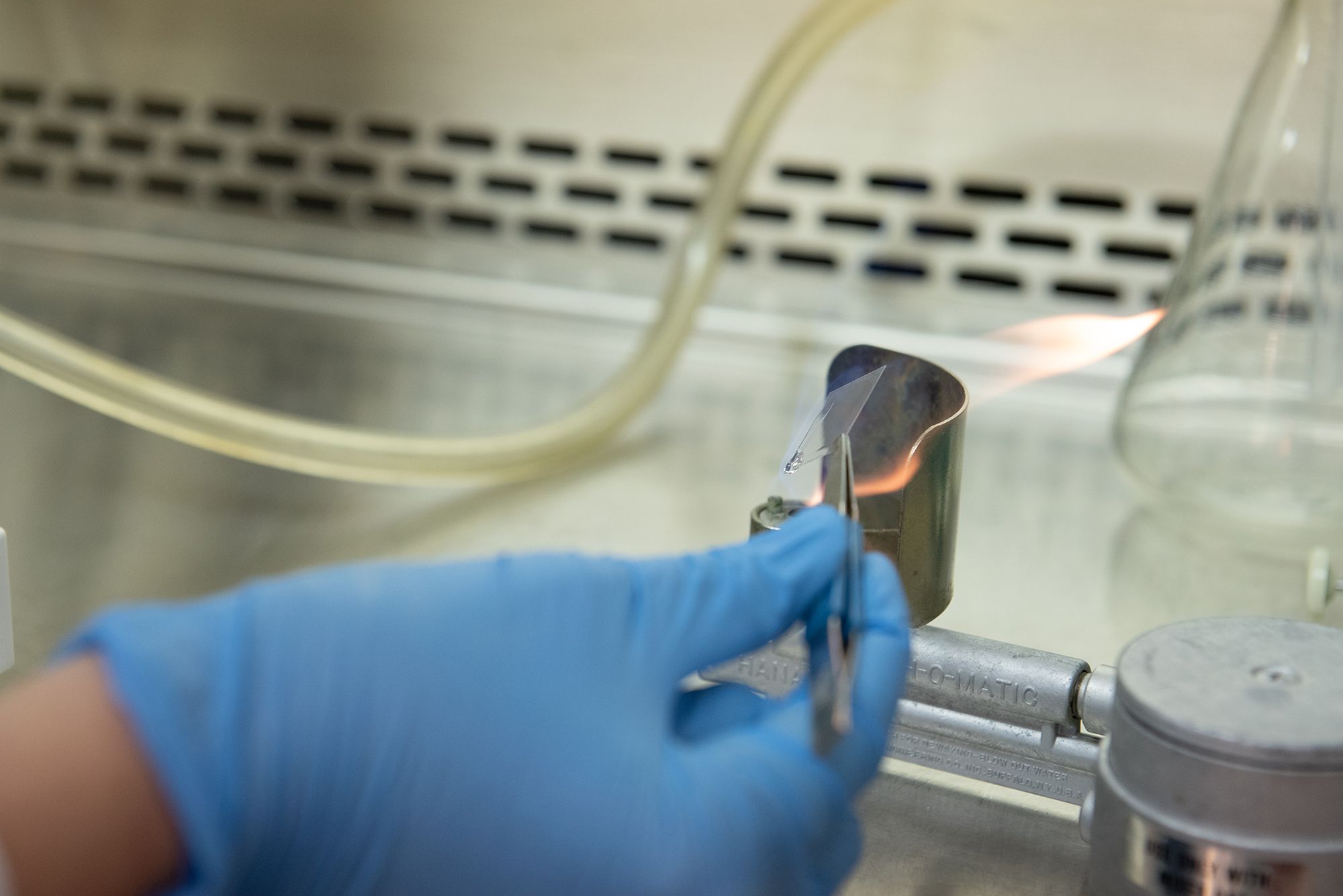 A close up photo of a student holding a sample of glass or plastic with tweezers over a Bunsen burner.