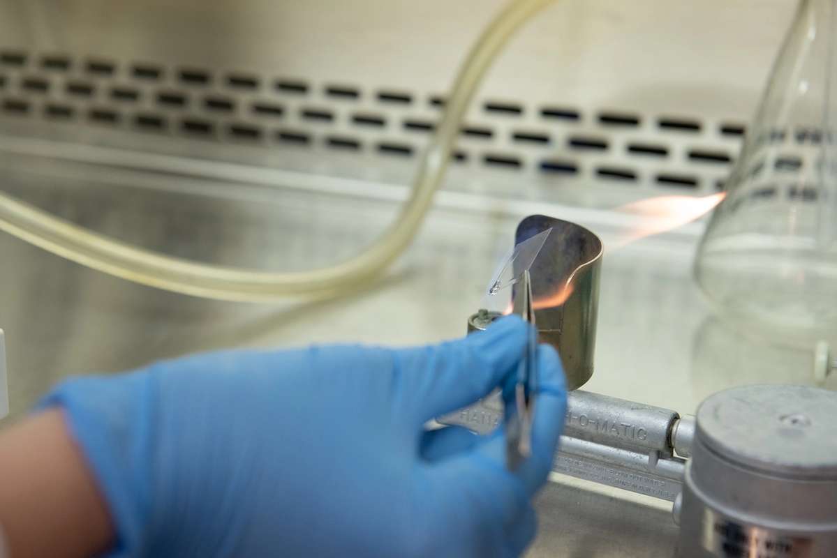 A close up photo of a student holding a sample of glass or plastic with tweezers over a Bunsen burner.