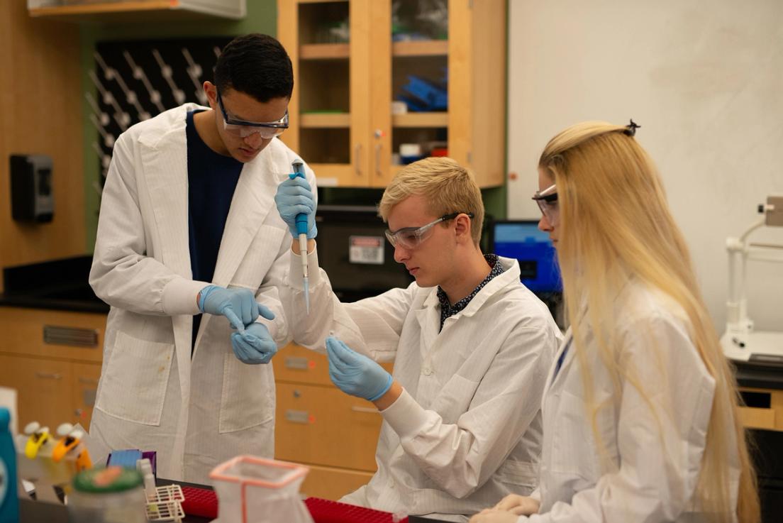 Students with lab coats, gloves, and protective goggles use a dropper to take samples.