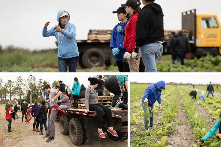 A grid featuring photos of students volunteering at a local farm