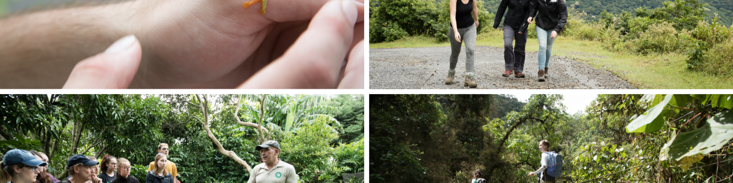 A collection of photos from Rollins’ first year field study in Costa Rica.