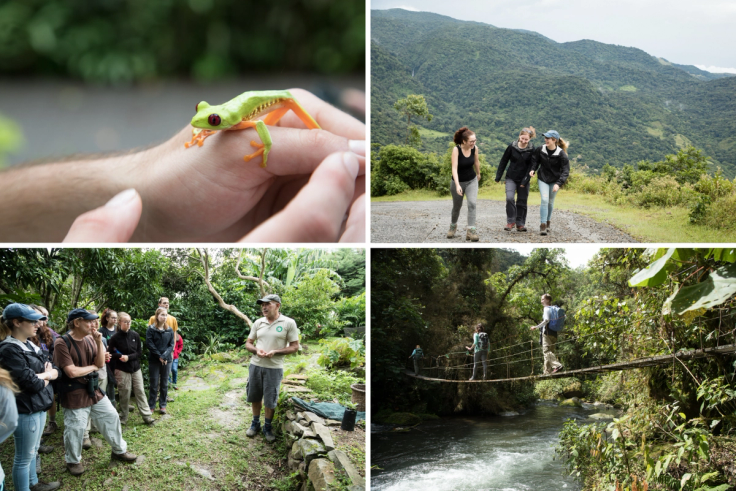 Experiences from the Costa Rica field study at Rollins College. 