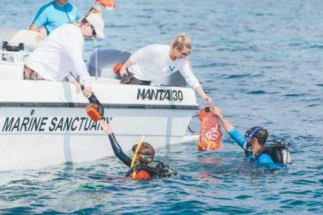 Maddie Cholnoky ’17 working at the Florida Keys National Marine Sanctuary.