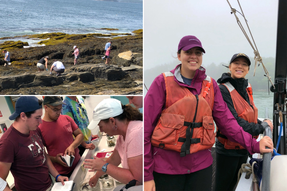 Scenes from a marine biology field study in Maine.