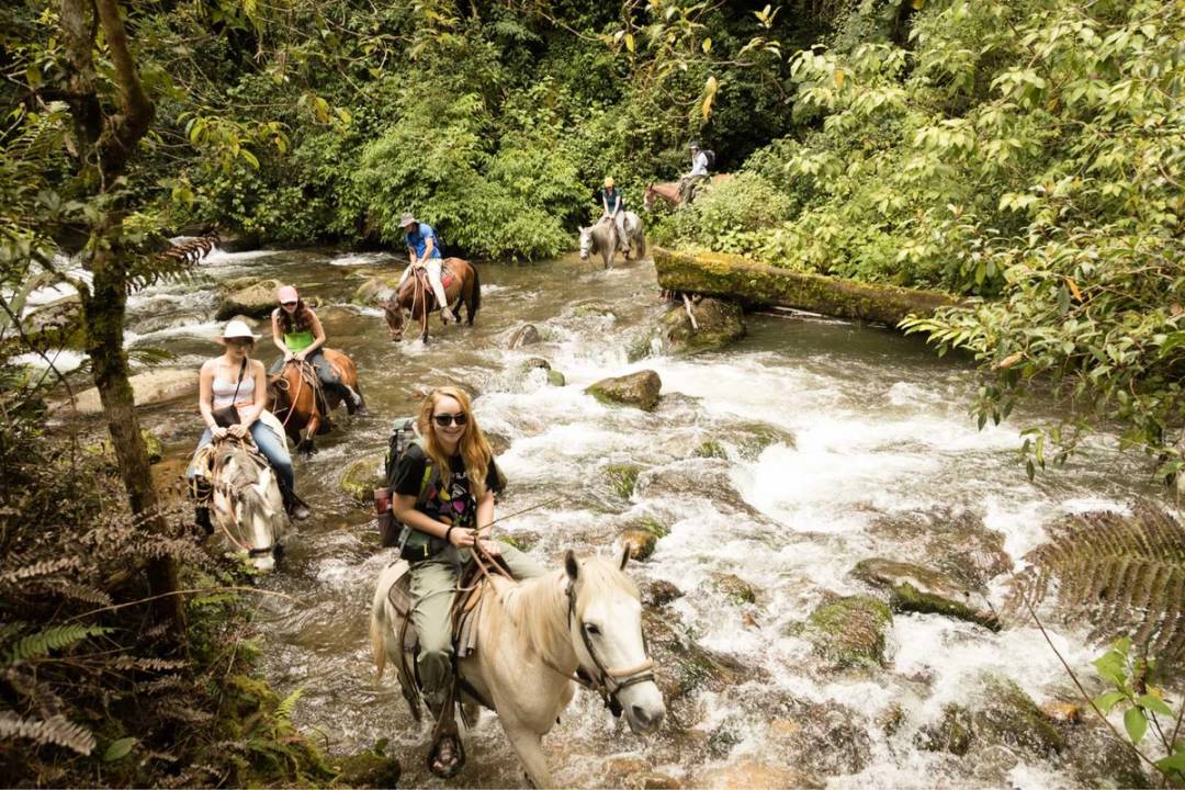 Students riding horses across a stream.