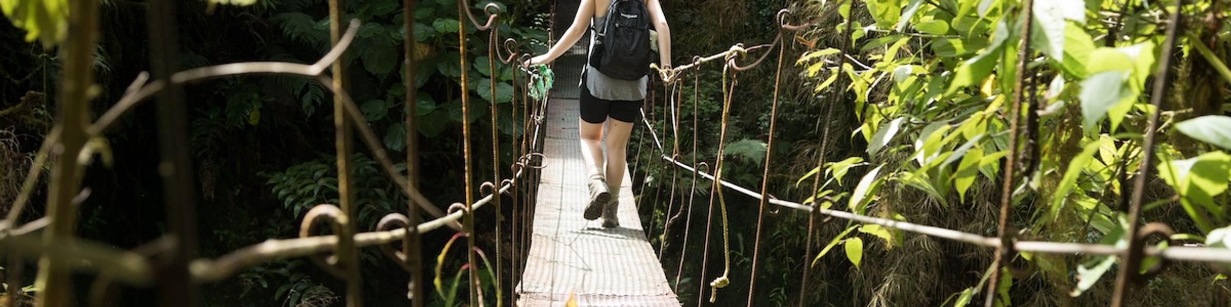 A Rollins College student walks on a rope bridge in a Costa Rican rain forest.