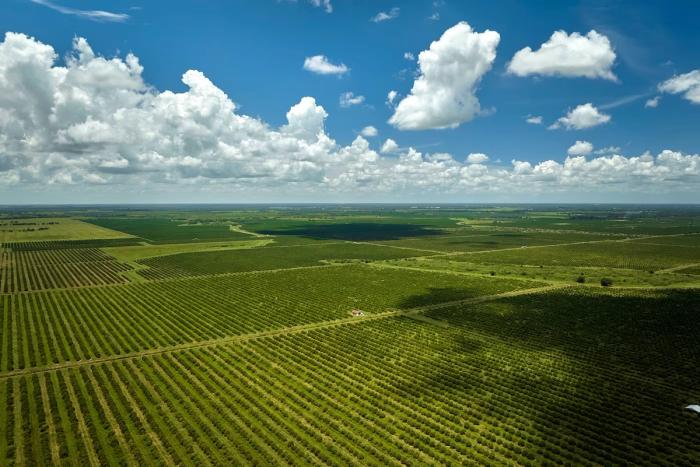 aerial shot of farm
