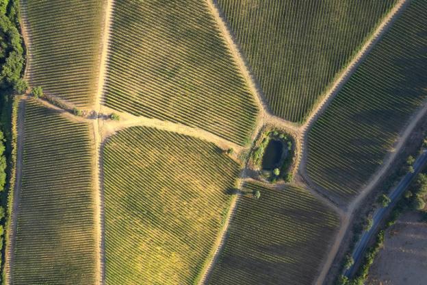satellite image of vineyard satellite image of vineyard