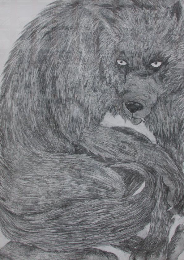 Silas Inoue, Wolf Pack, blyant på papir