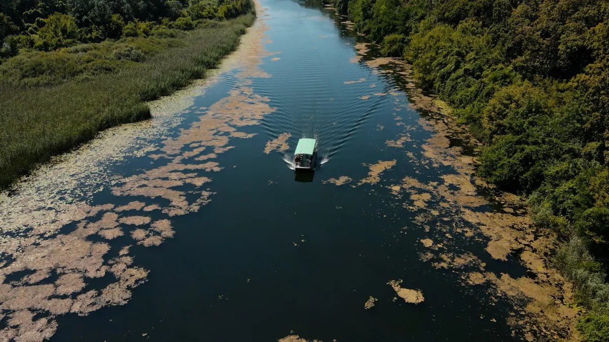 Bačko podunavlje, Izlet, Dunav, Srbija