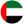 UAE icon