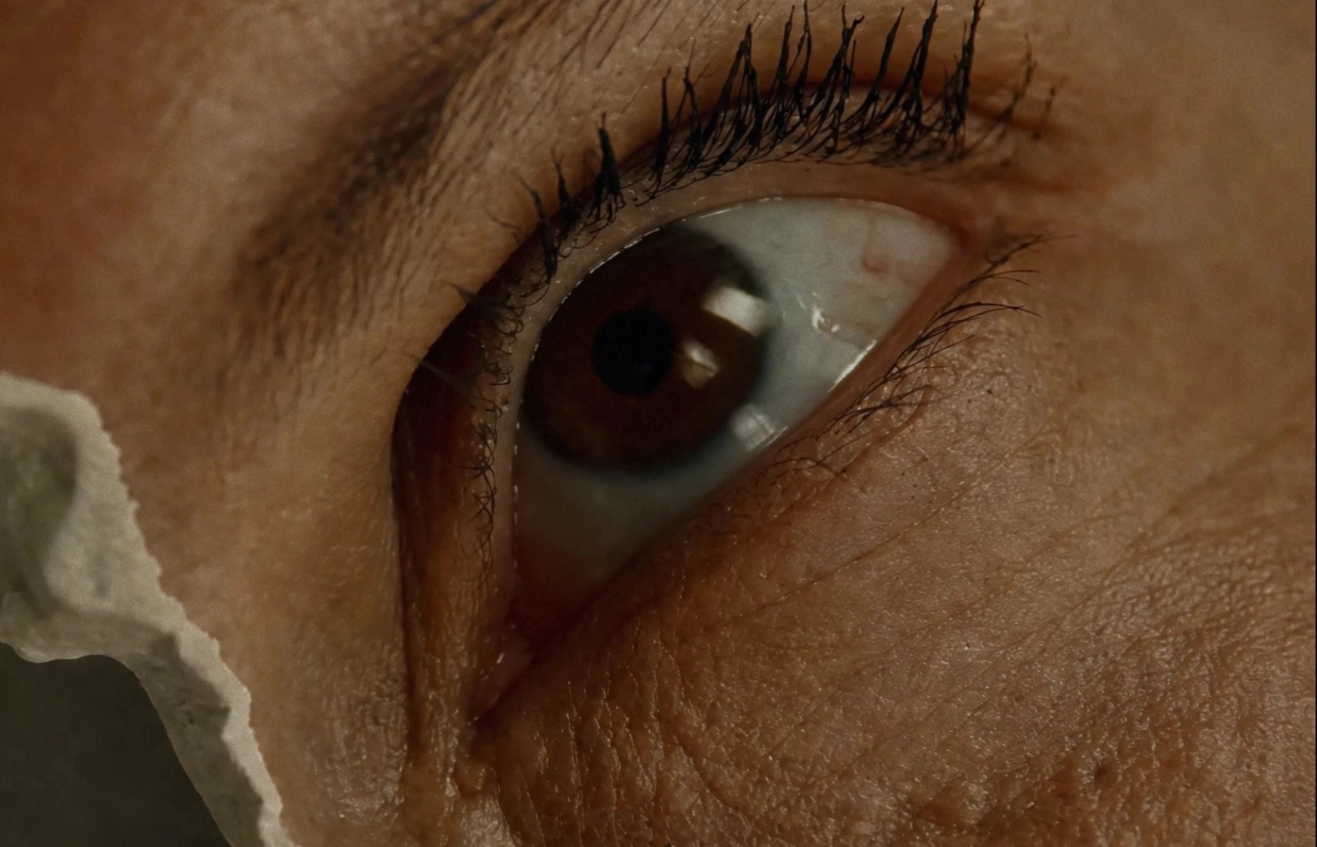 Extreme close-up of Elisa's brown eye on a lifelike face fragment, with a jagged, ceramic-like edge.