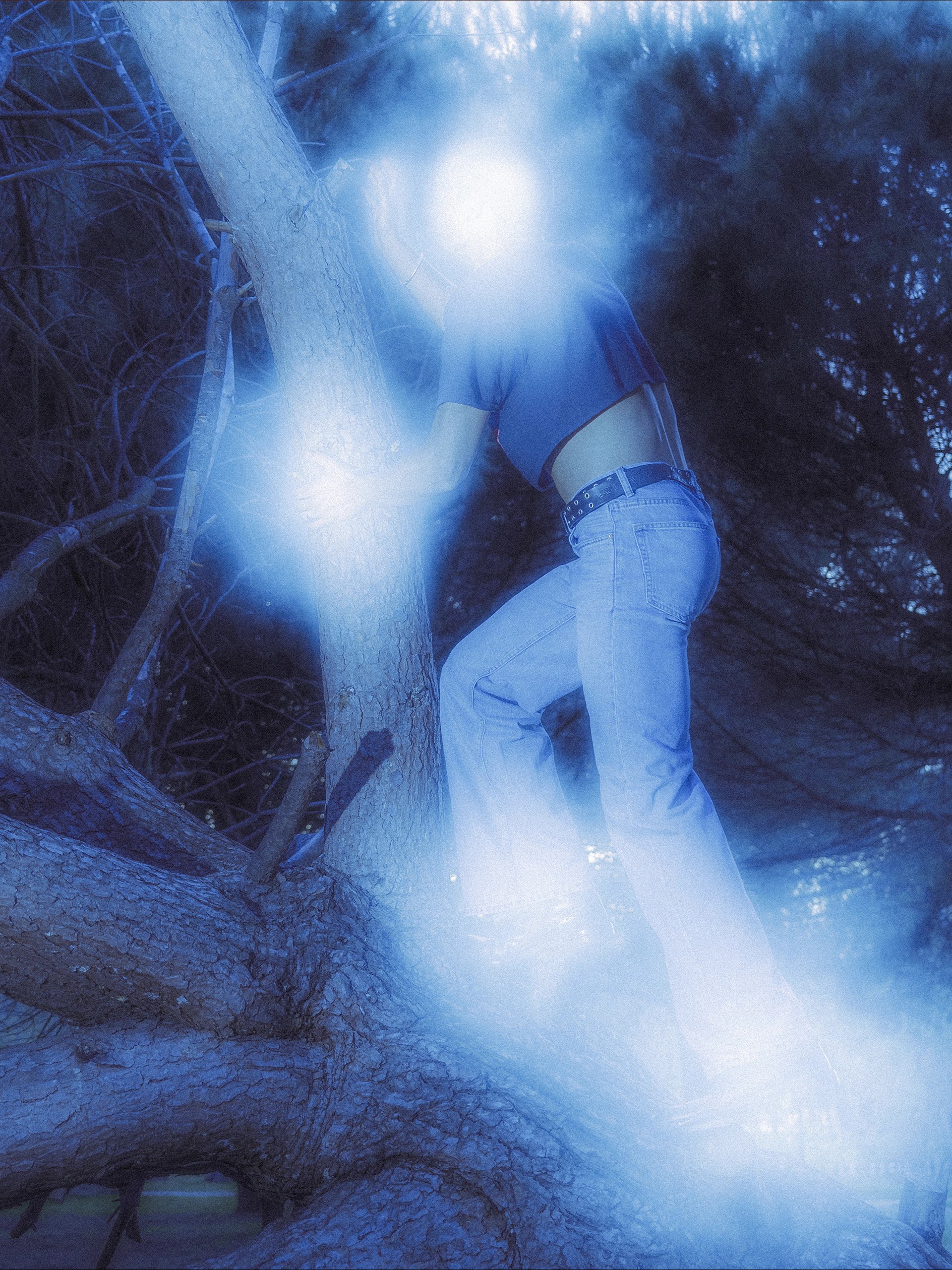 Model climbing a pine, blue light flaring across the frame