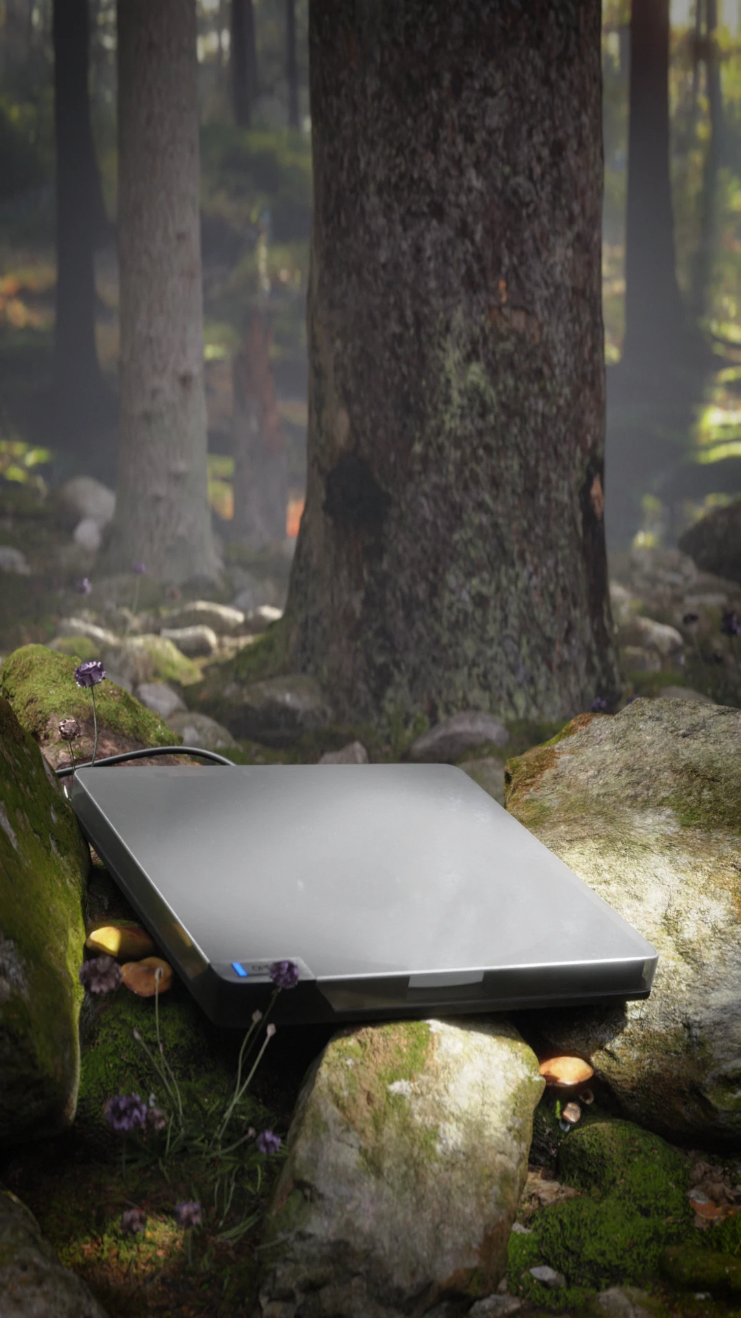 A closed silver CD player rests among mossy rocks, mushrooms, and small purple flowers in a softly lit forest.