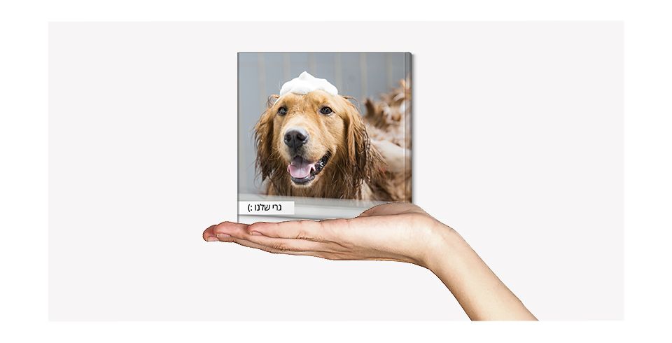 אלבום שכולו לב – מיני לופה לכלב