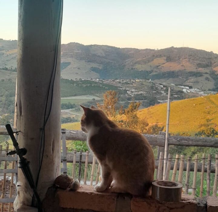 DONA MEL E SEUS REFLEXOS!