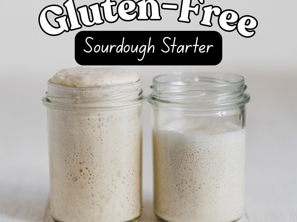 Gluten-Free Sourdough Starter