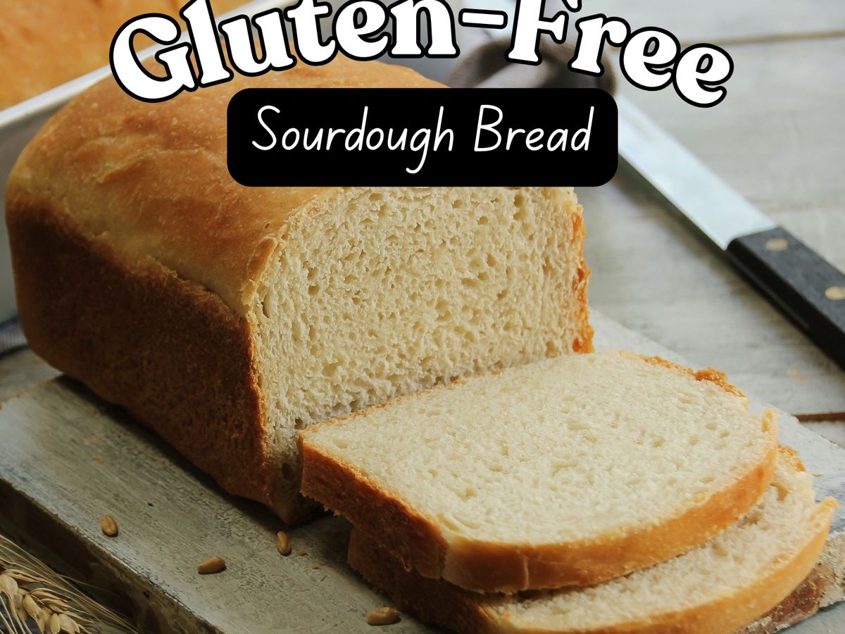 Gluten-Free Sourdough Sandwich Bread