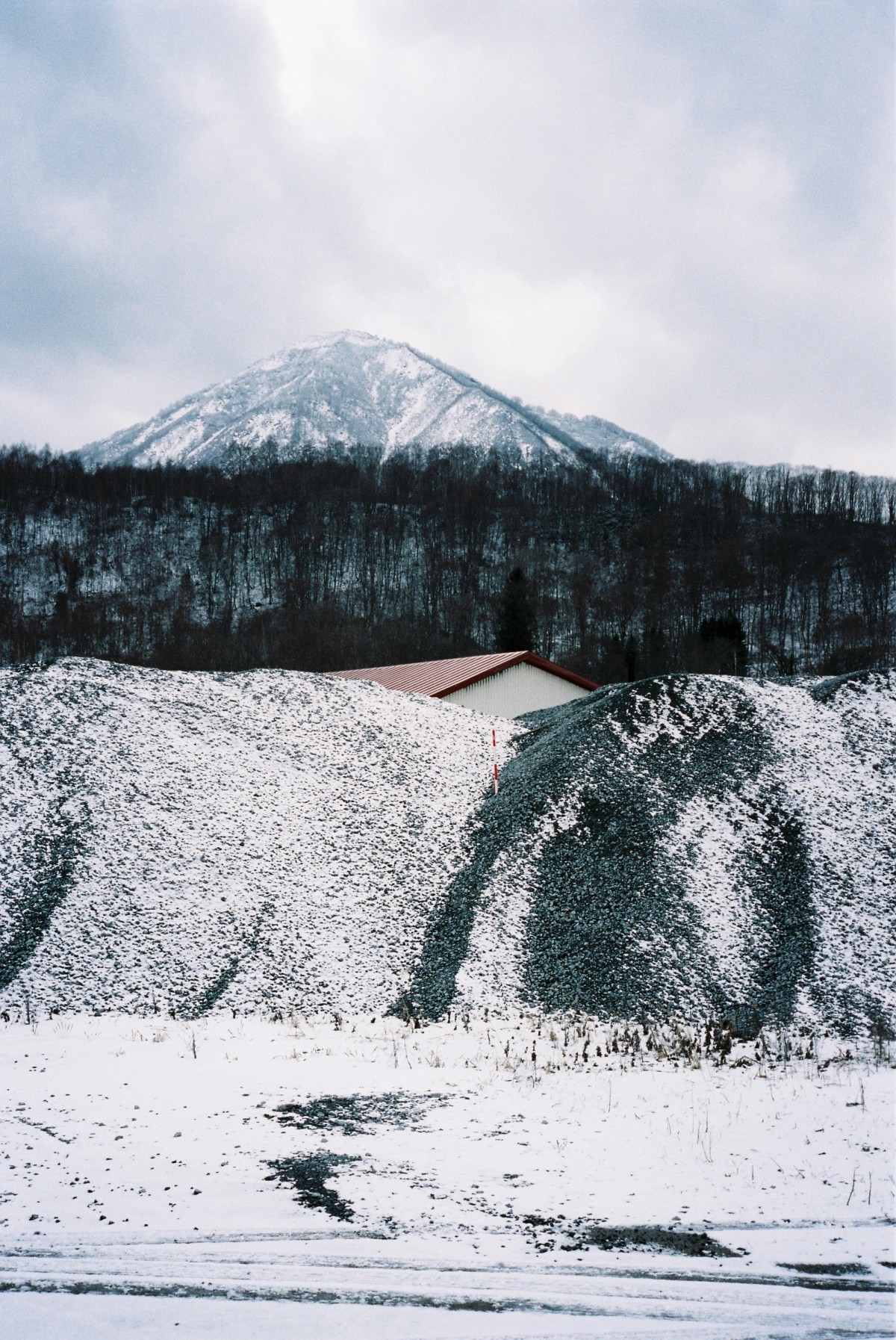 Kimobetsu, taken in Kimobetsu, Hokkaido, shot on Contax T2