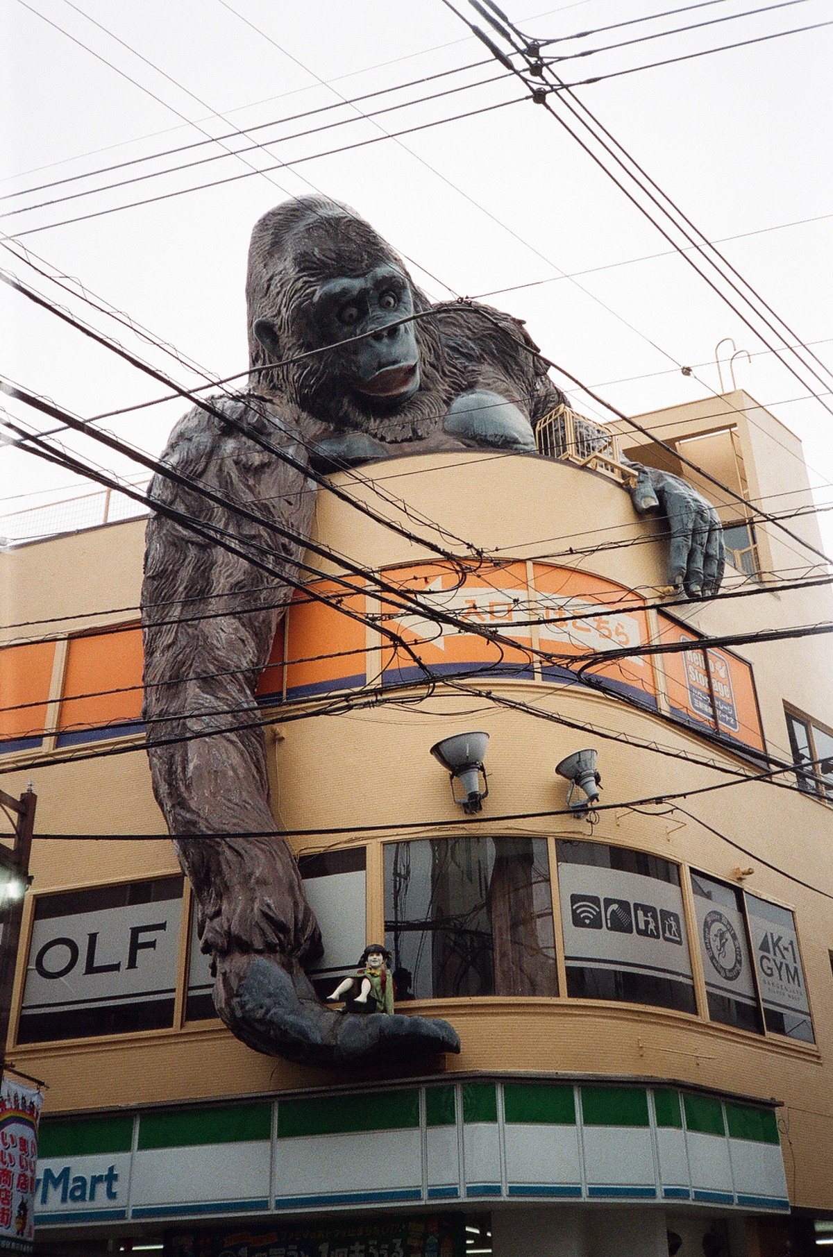 Monkey, taken in Sangenjaya, Tokyo, shot on Canon Autoboy Tele 6