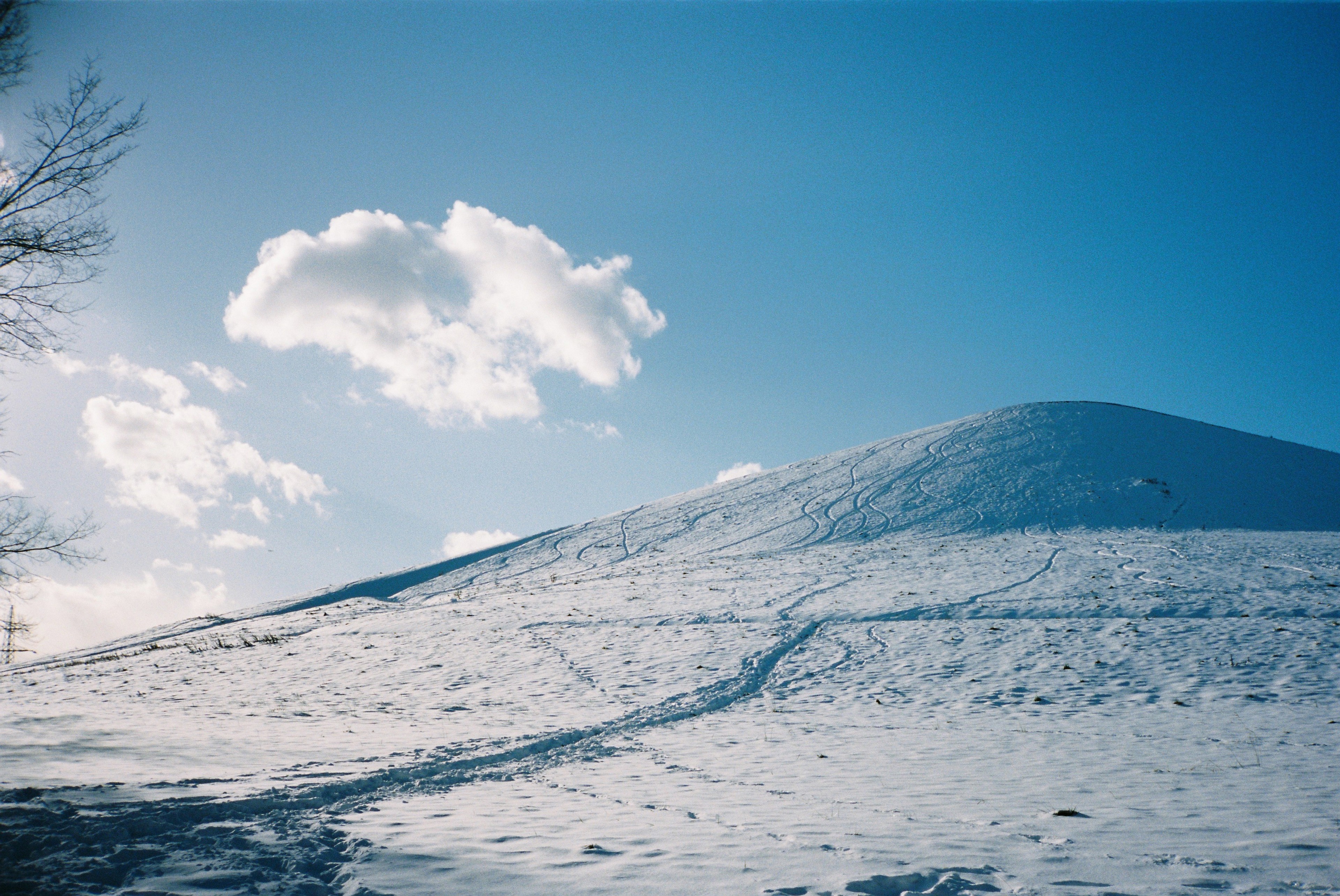 Moerenuma Park, taken in Moerenuma Park, Hokkaido, shot on Contax T2