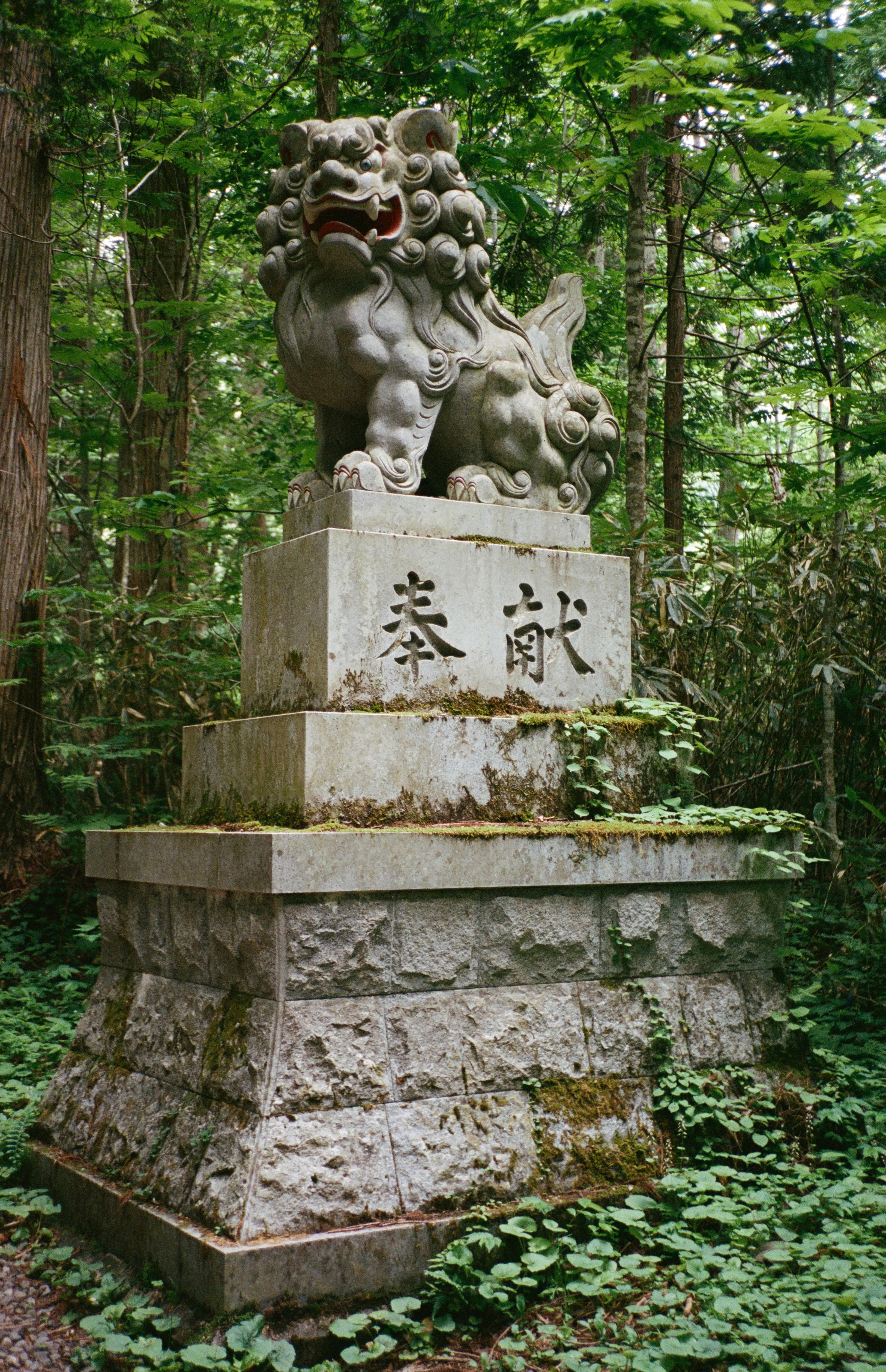  Togakushi-Jinja, taken in Togakushi-Jinja, Nagano, shot on Contax T2