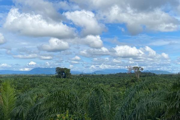 Pengembangan Enumerator Lokal