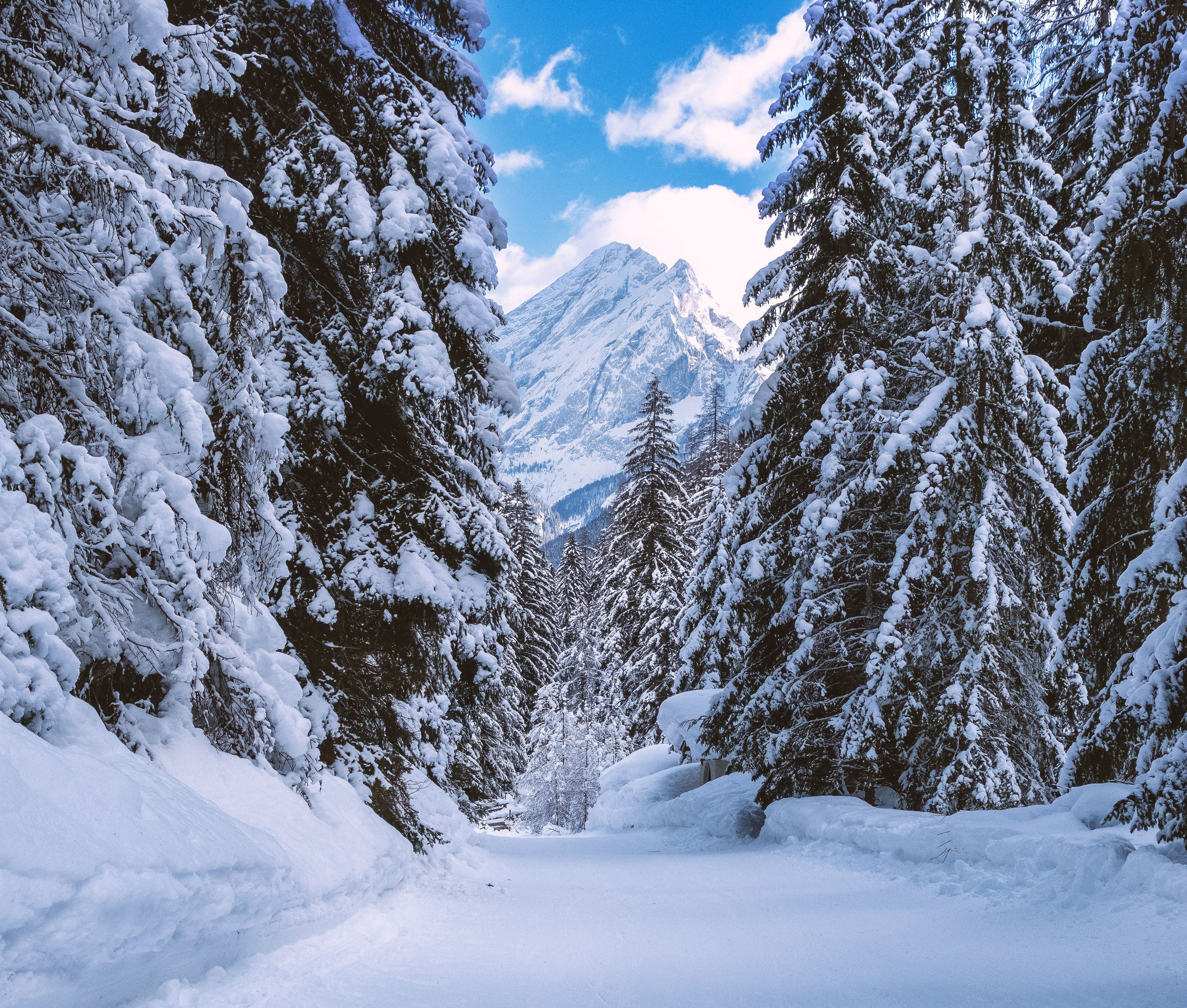 Snowy pathway with majestic mountain rising in the background