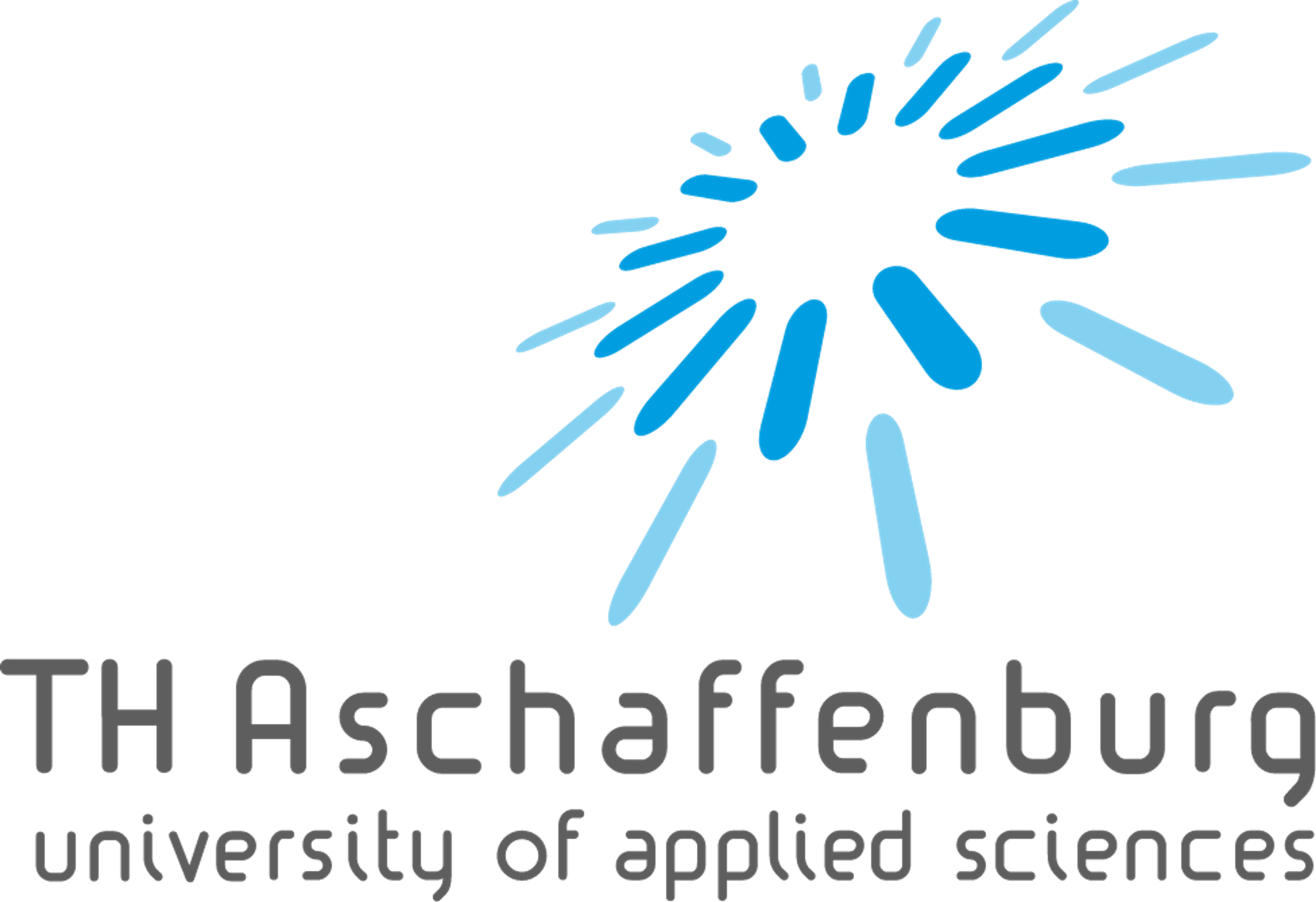 Technische Hochschule Aschaffenburg