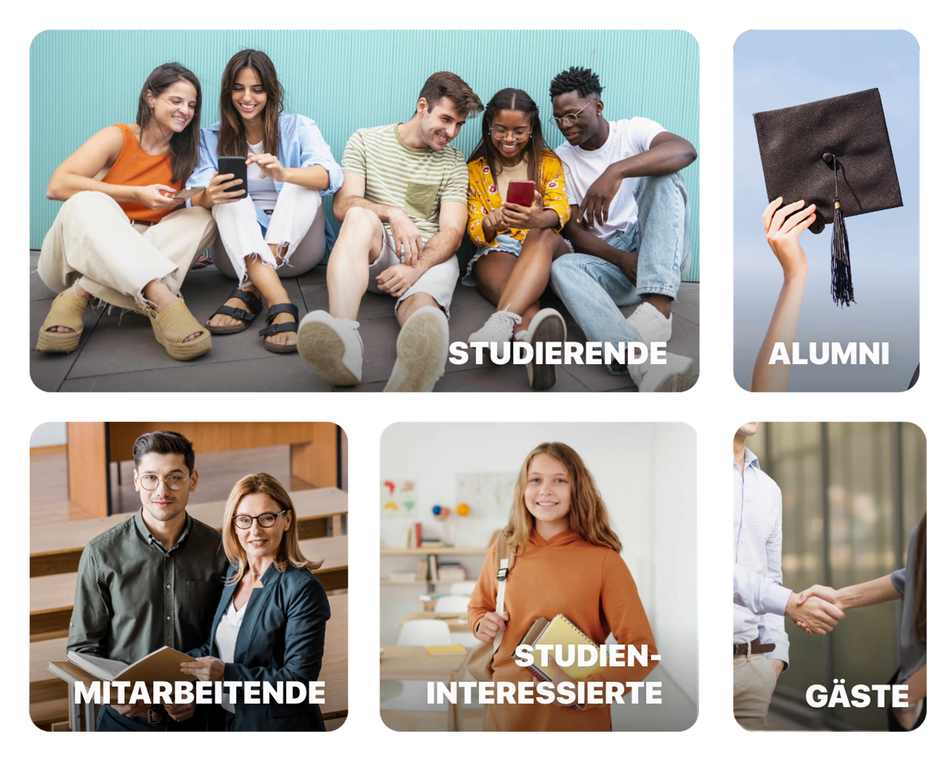 Login Schranke, Rollen, Nutzergruppen